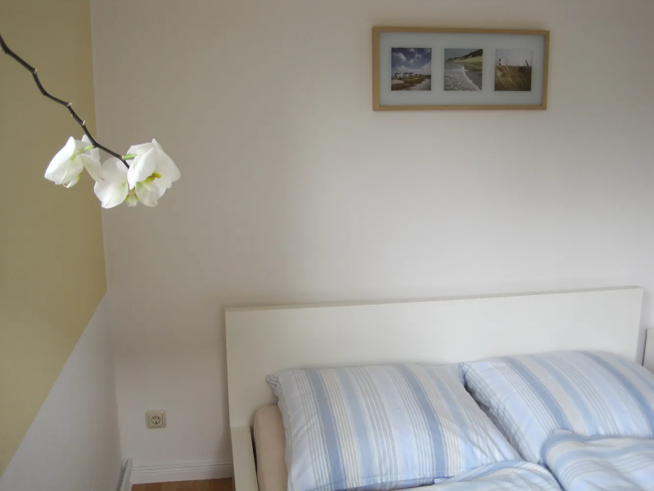 2 Zimmer Wohnung mit 34 m² in Rostock – Bild 3
