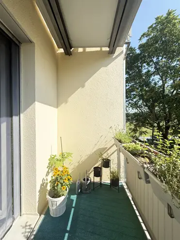 1 Zimmer Wohnung mit 29 m² in Dresden – Bild 9