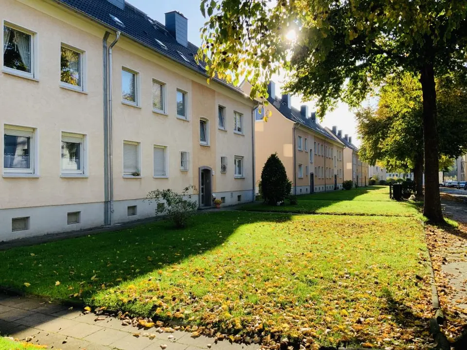3 Zimmer Wohnung mit 54 m² in Bochum – Bild 5