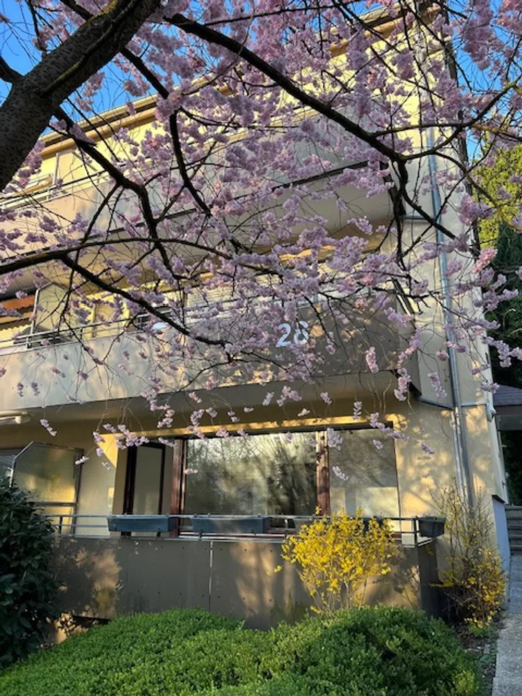 2 Zimmer Wohnung mit 35 m² in Dortmund – Bild 5