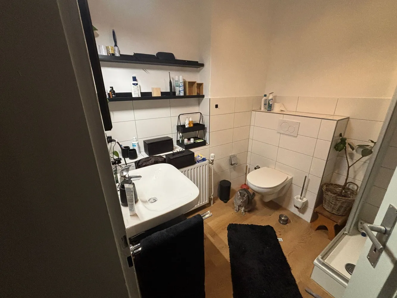 3 Zimmer Wohnung mit 65 m² in Bonn – Bild 10