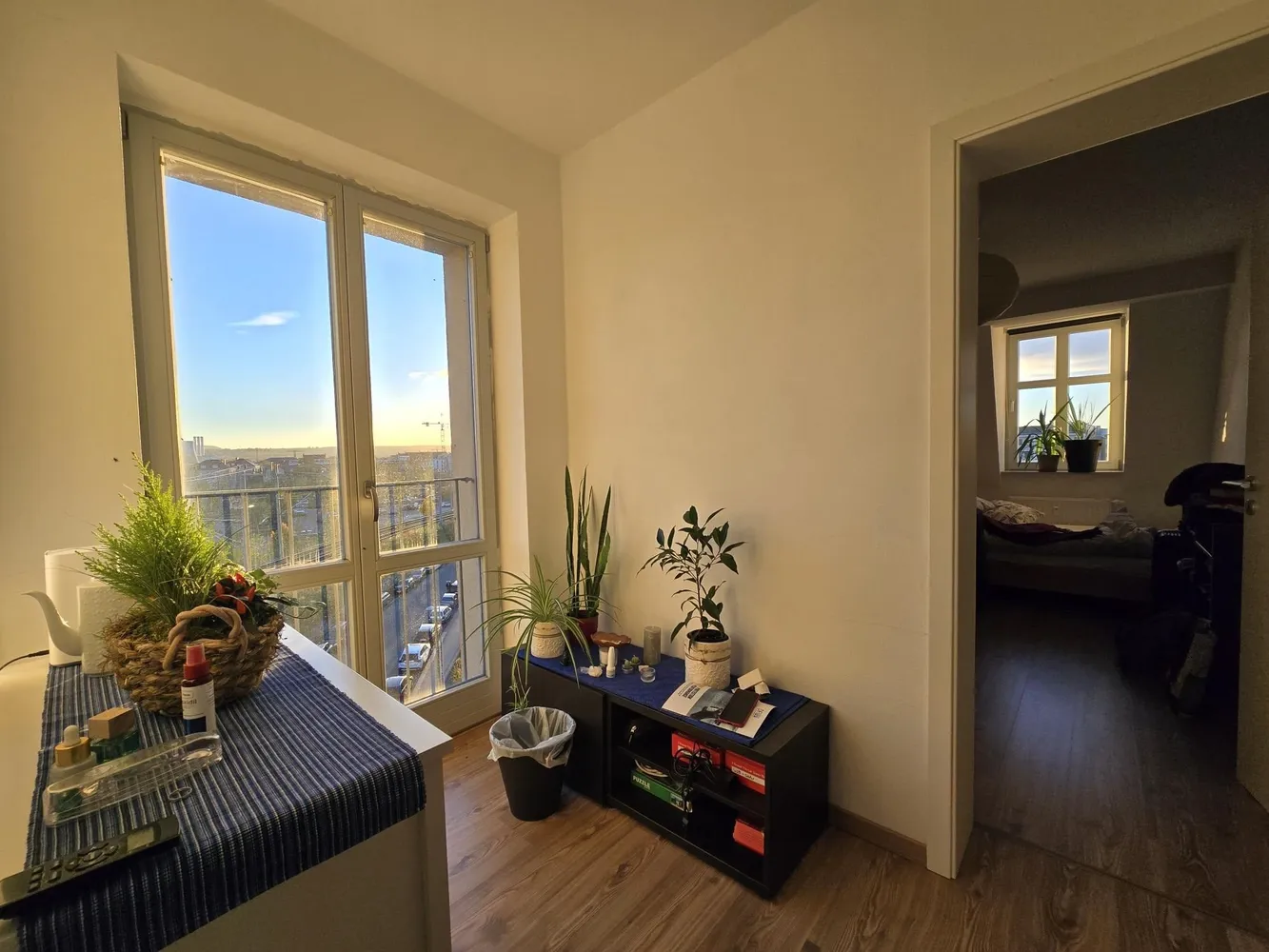 2 room apartment with 44 m² in Dresden – Photo 9