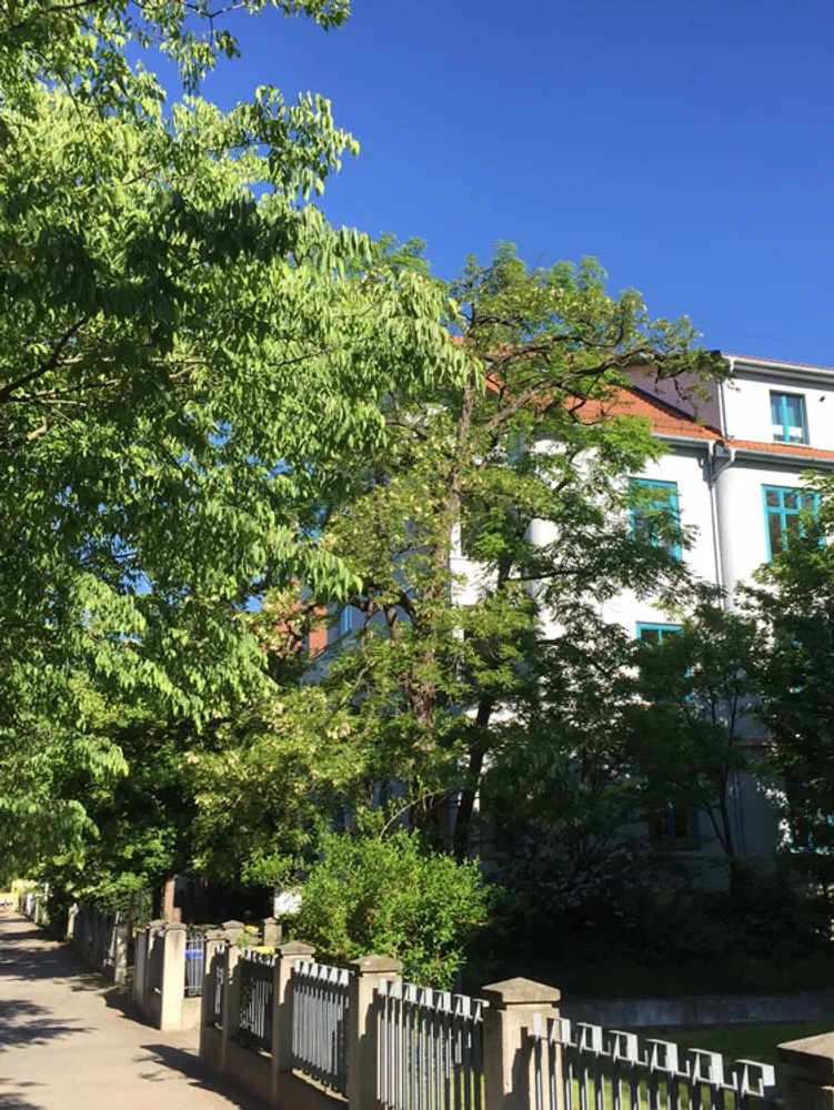 2 Zimmer Wohnung mit 79 m² in Dresden – Bild 7