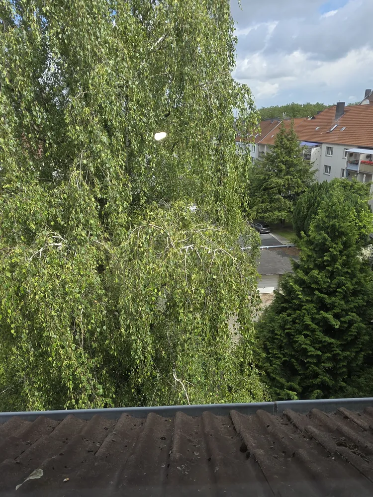 2 Zimmer Wohnung mit 70 m² in Dortmund – Bild 2
