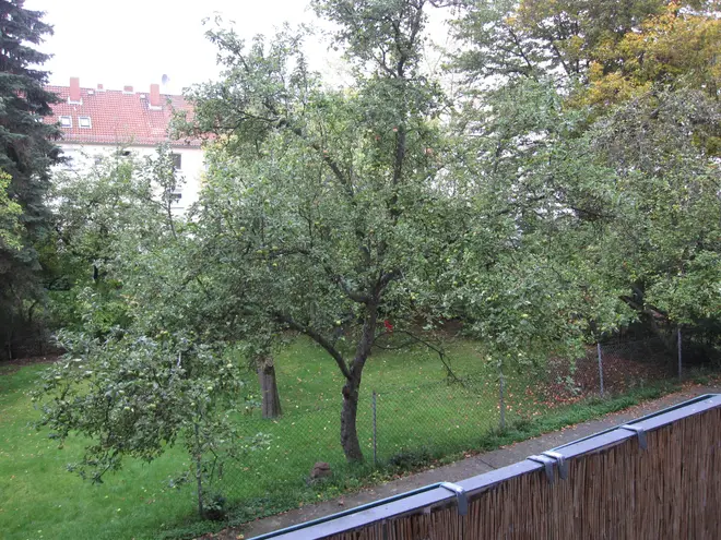3 Zimmer Wohnung mit 81 m² in Hannover – Bild 3