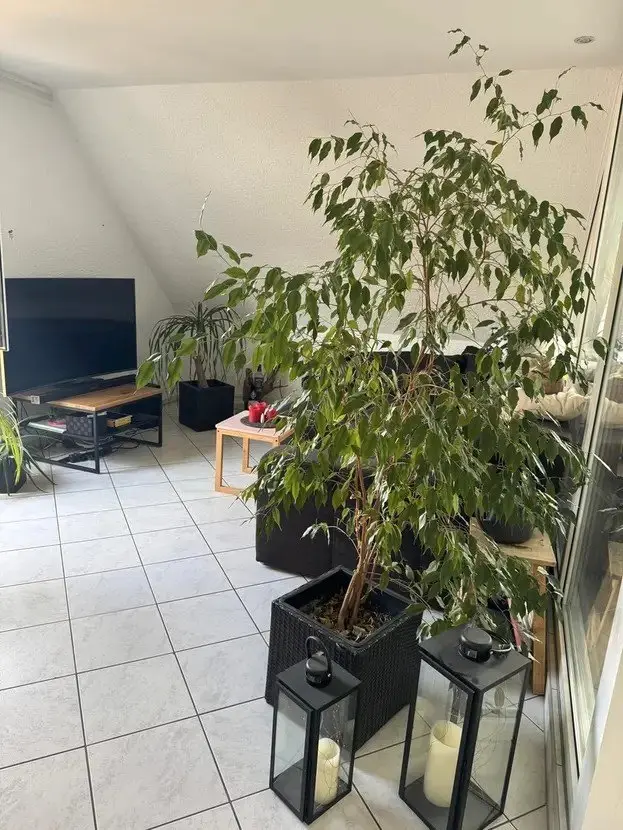 WG-Zimmer mit 14 m² in Mannheim – Bild 7