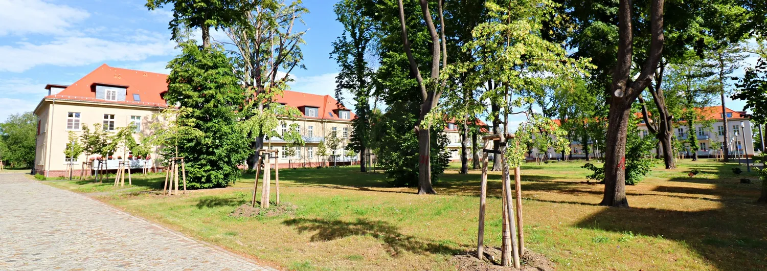 3 Zimmer Wohnung mit 115 m² in Leipzig – Bild 2