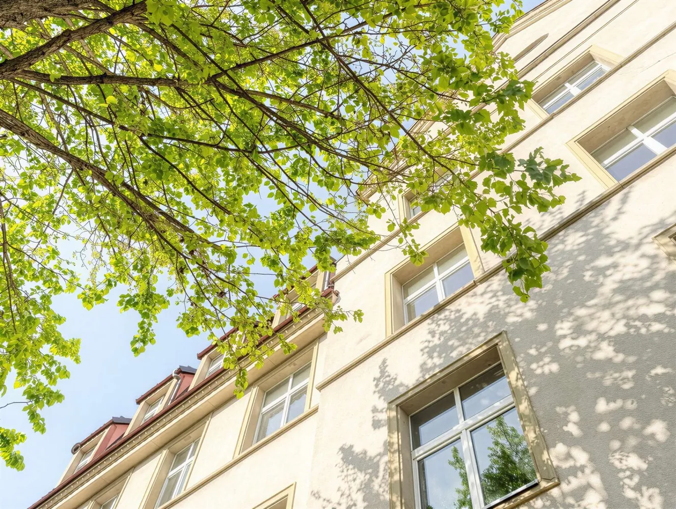 4 Zimmer Wohnung mit 147 m² in Dresden – Bild 7