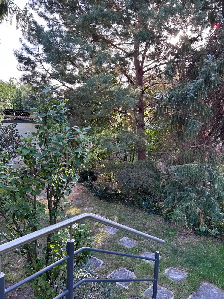 3 Zimmer Haus mit 110 m² in Berlin – Bild 3