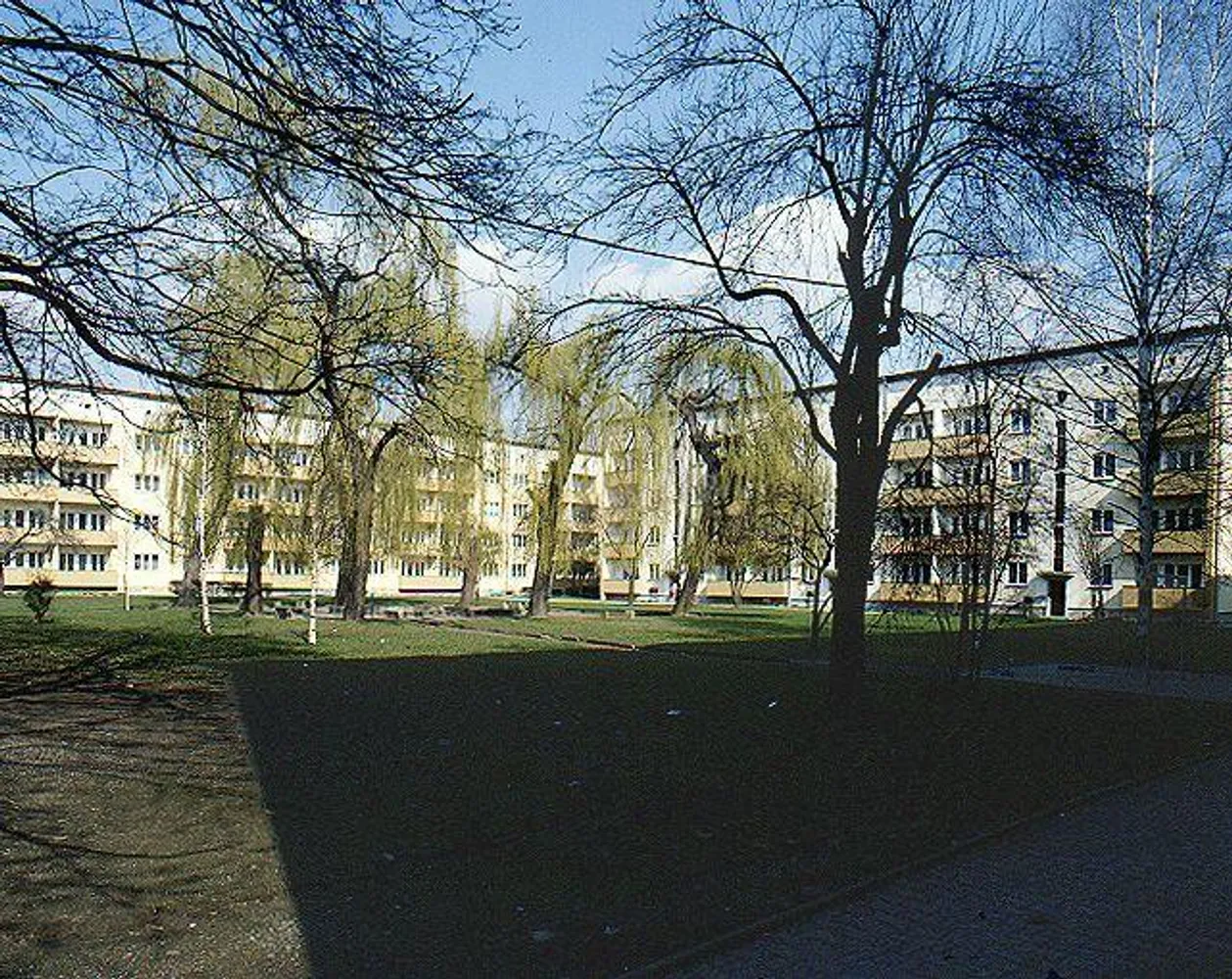 3 Zimmer Wohnung mit 64 m² in Dresden – Bild 1