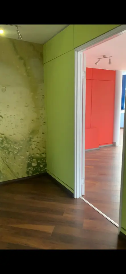 WG-Zimmer mit 300 m² in Bernau bei Berlin – Bild 8