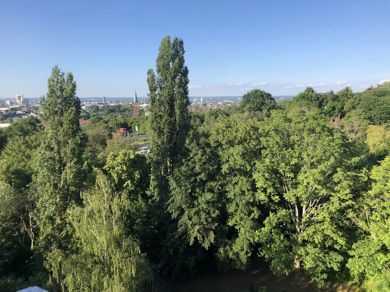 1 Zimmer Wohnung mit 31 m² in Bonn – Bild 3