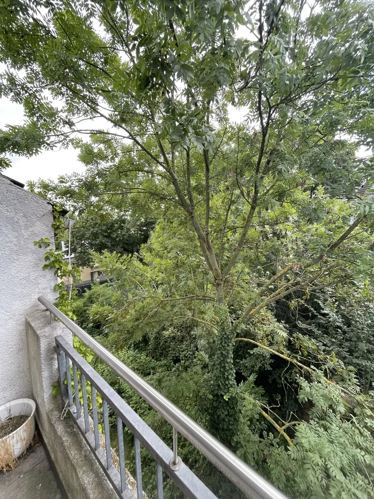 3 Zimmer Wohnung mit 71 m² in Dortmund – Bild 1