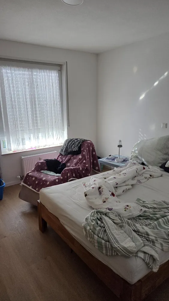2 Zimmer Wohnung mit 55 m² in Dresden – Bild 4