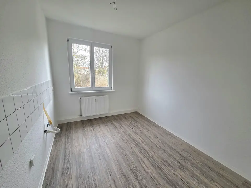 Studio mit 35 m² in Chemnitz – Bild 3