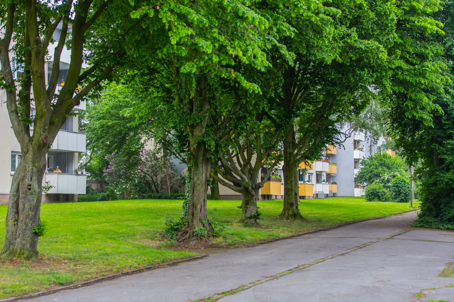3 Zimmer Wohnung mit 76 m² in Dortmund – Bild 11