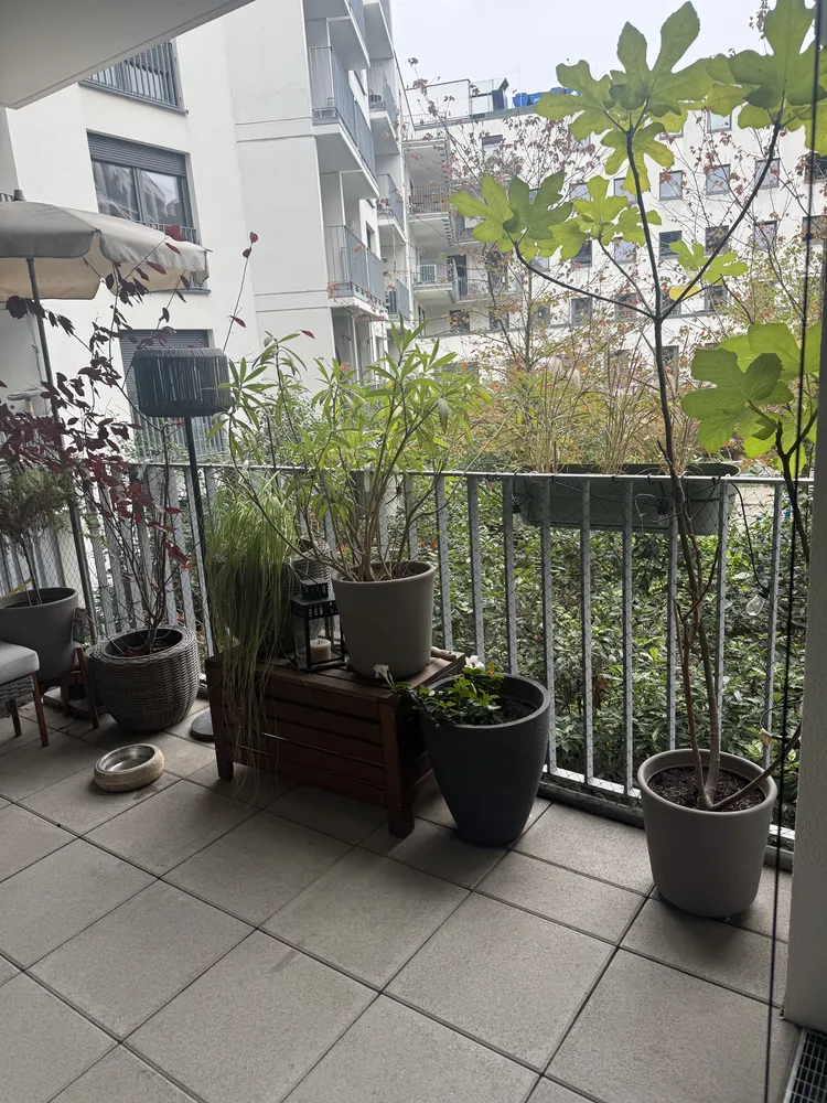 2 Zimmer Wohnung mit 74 m² in Mainz – Bild 7
