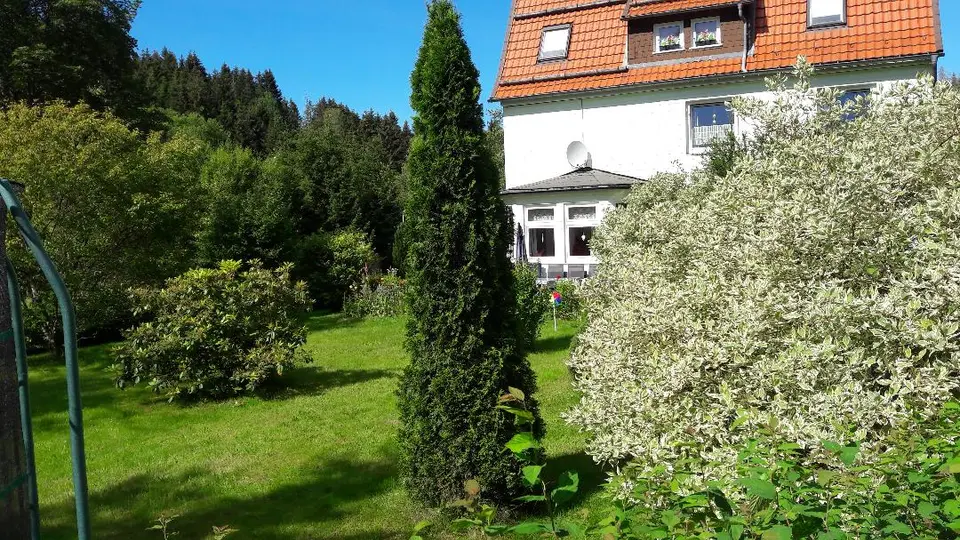2 Zimmer Wohnung mit 60 m² in Goslar – Bild 3