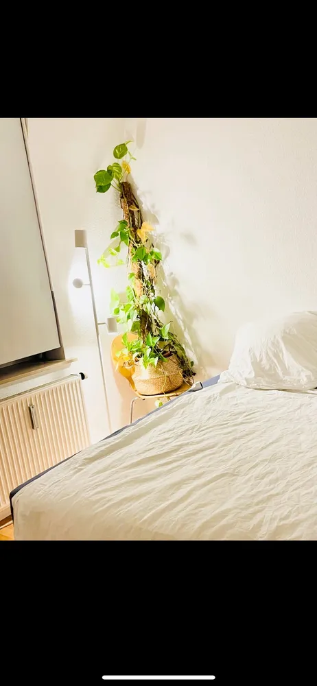 3 Zimmer Wohnung mit 97 m² in Nürnberg – Bild 8