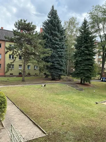 1 Zimmer Wohnung mit 37 m² in Berlin – Bild 2
