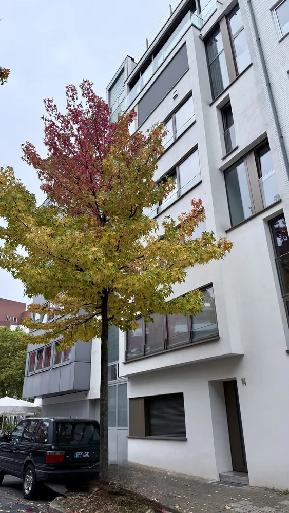 1 Zimmer Wohnung mit 32 m² in Düsseldorf – Bild 2