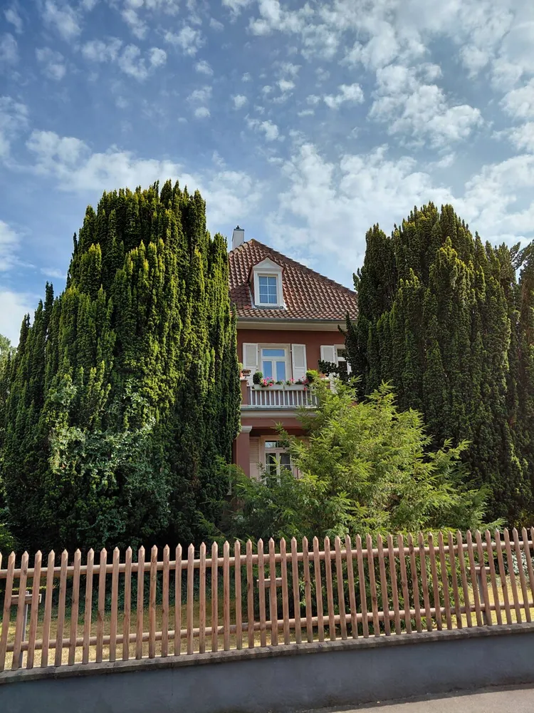 3 Zimmer Wohnung mit 100 m² in Bad Kreuznach – Bild 12
