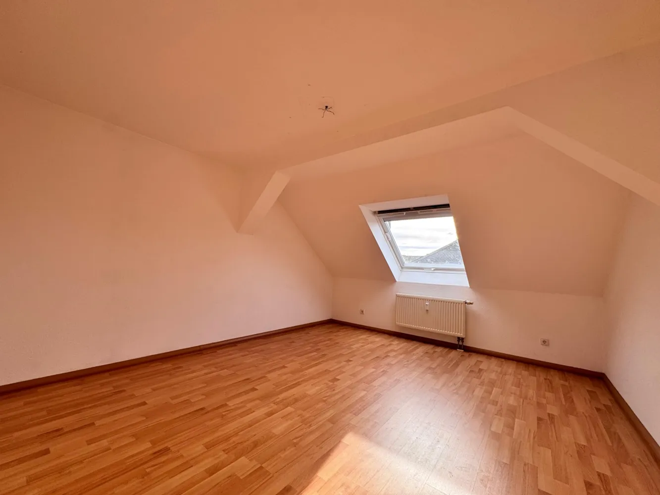 2 room apartment with 50 m² in Chemnitz – Photo 4