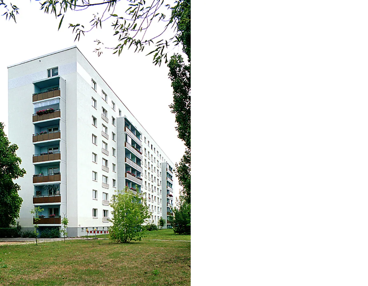 3 Zimmer Wohnung mit 70 m² in Berlin – Bild 2