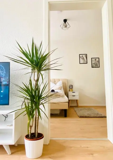 2 Zimmer Wohnung mit 56 m² in Erfurt – Bild 2