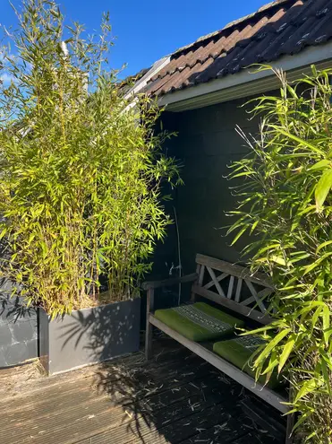 WG-Zimmer mit 30 m² in Köln – Bild 6