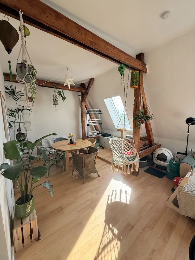 3 Zimmer Wohnung mit 66 m² in Potsdam – Bild 1