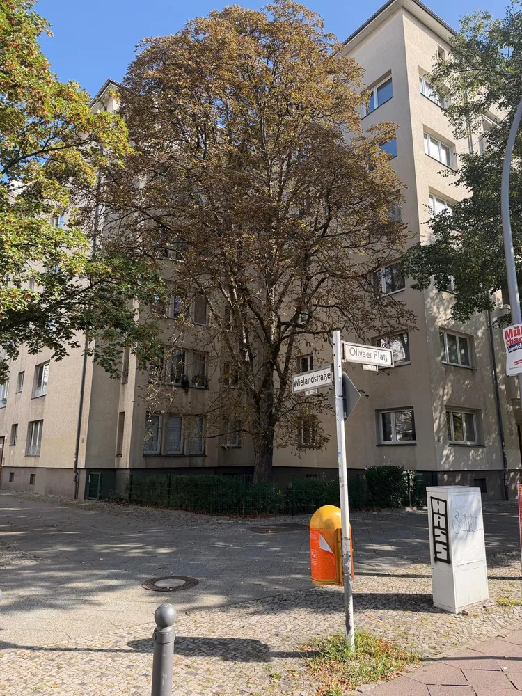 2 Zimmer Wohnung mit 55 m² in Berlin – Bild 1