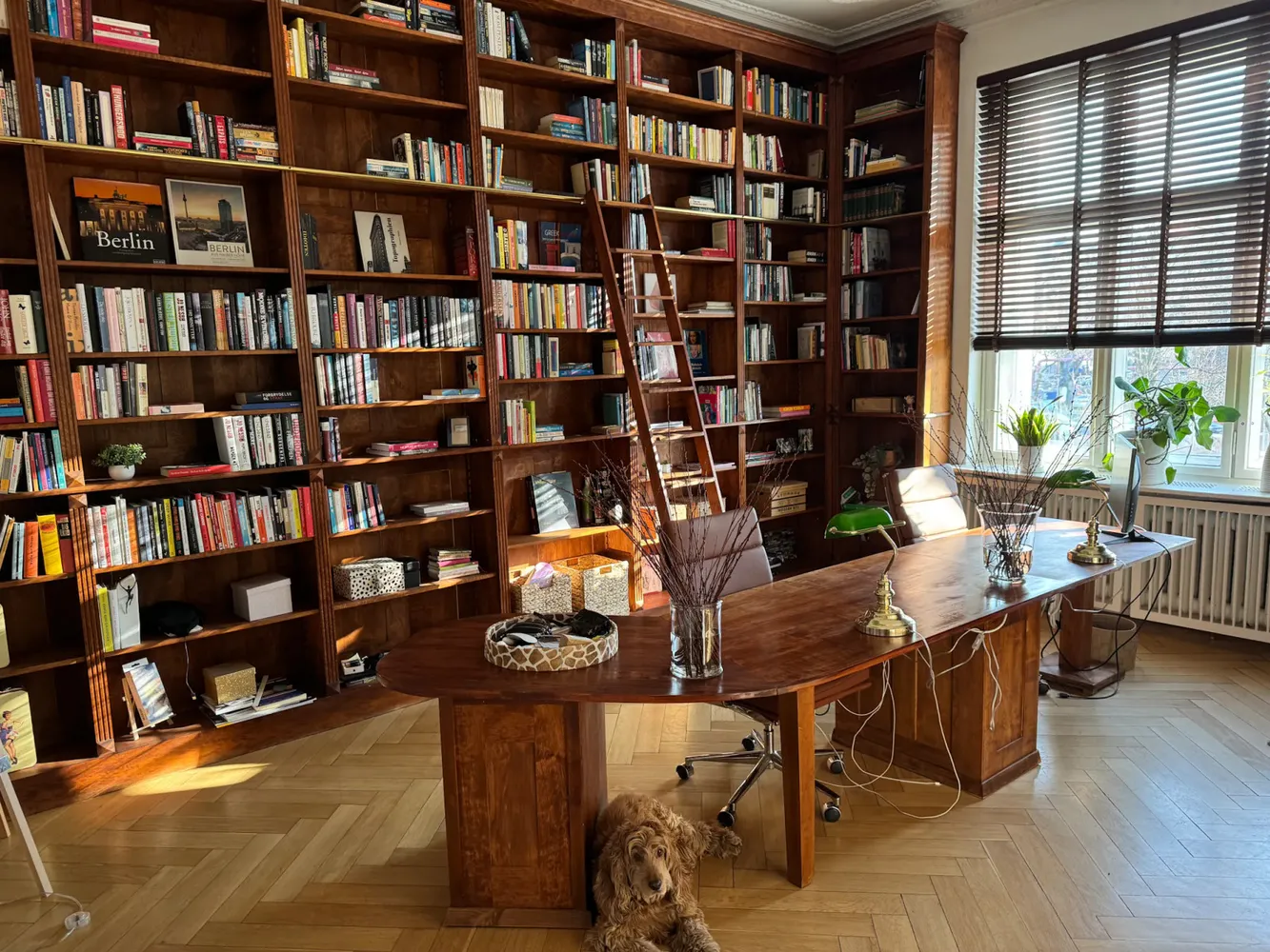 WG-Zimmer mit 25 m² in Berlin – Bild 3