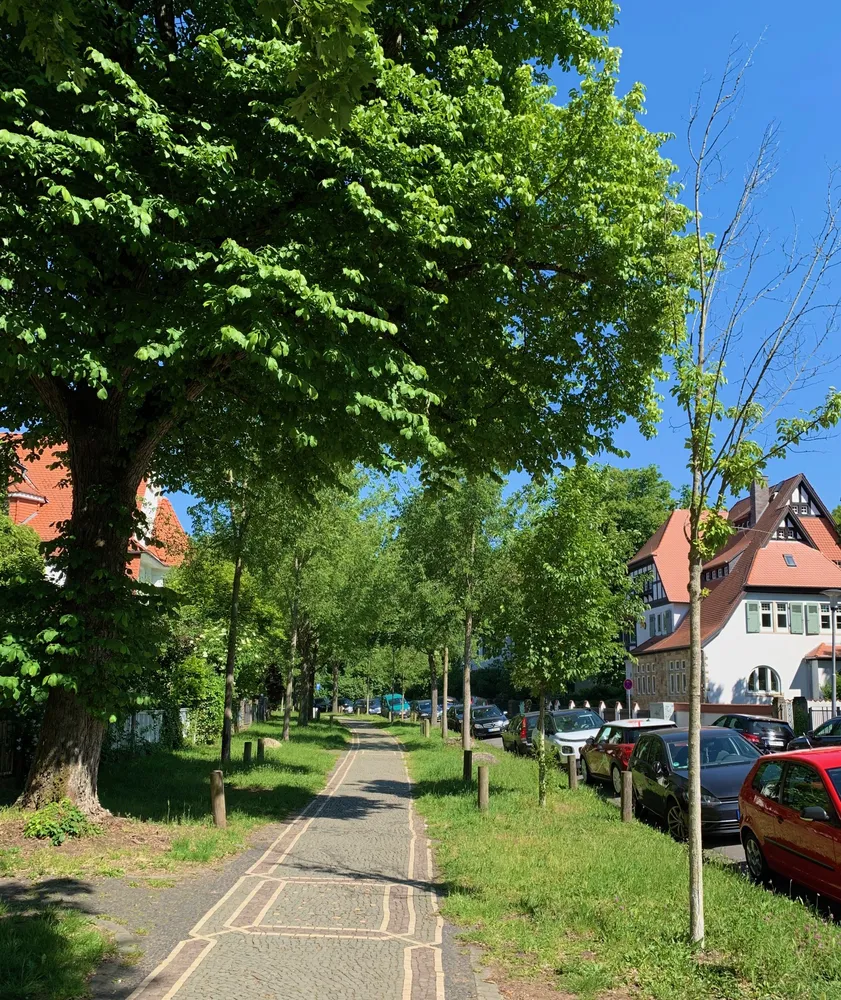4 Zimmer Wohnung mit 138 m² in Darmstadt – Bild 11