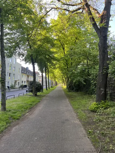 2 room apartment with 65 m² in Cologne – Photo 3