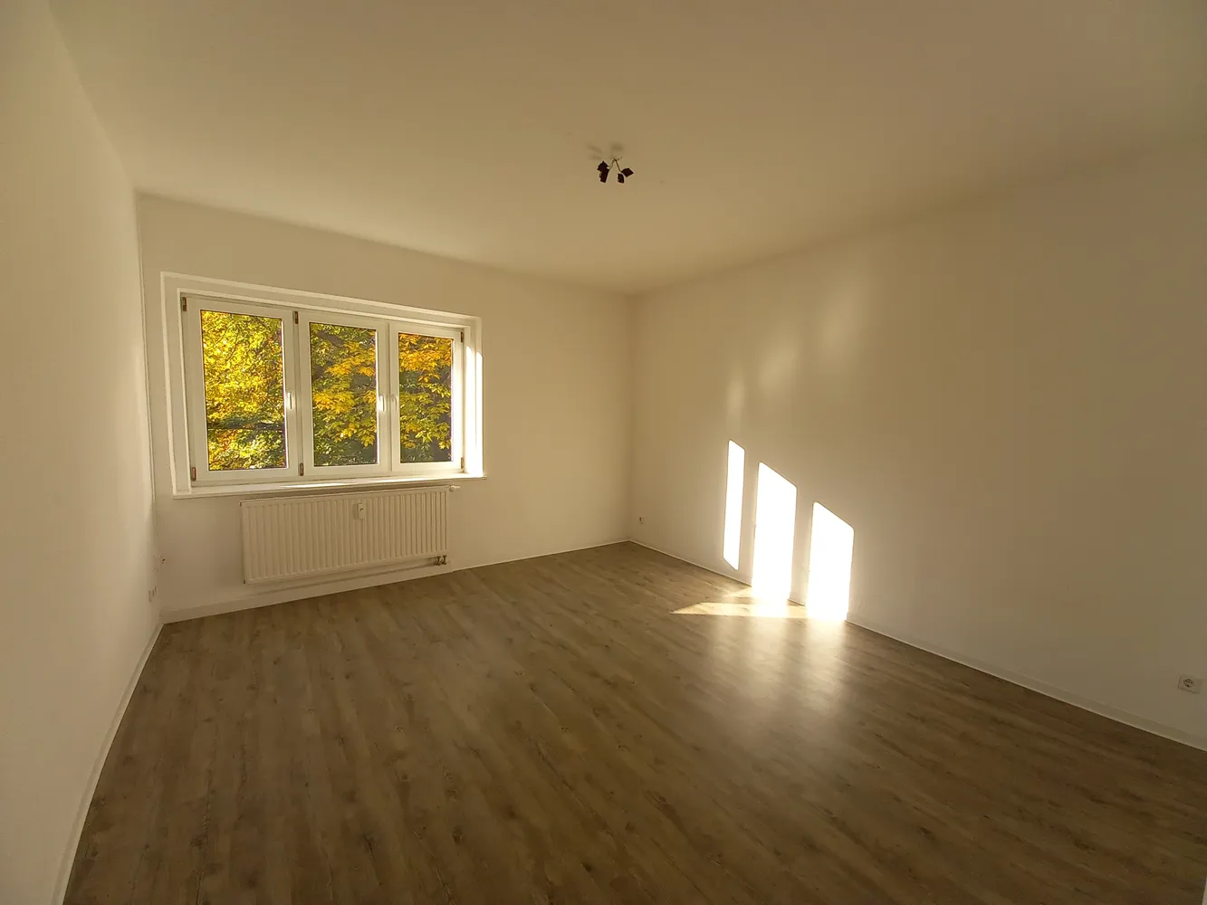 3 Zimmer Wohnung mit 65 m² in Dresden – Bild 3