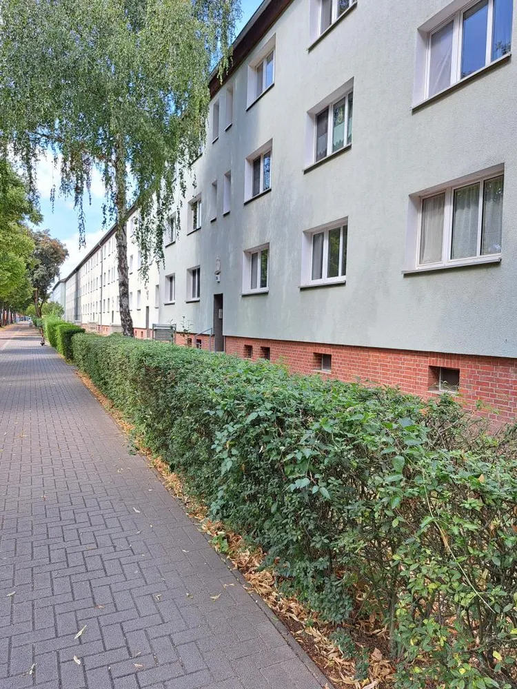 2 room apartment with 46 m² in Magdeburg – Photo 8