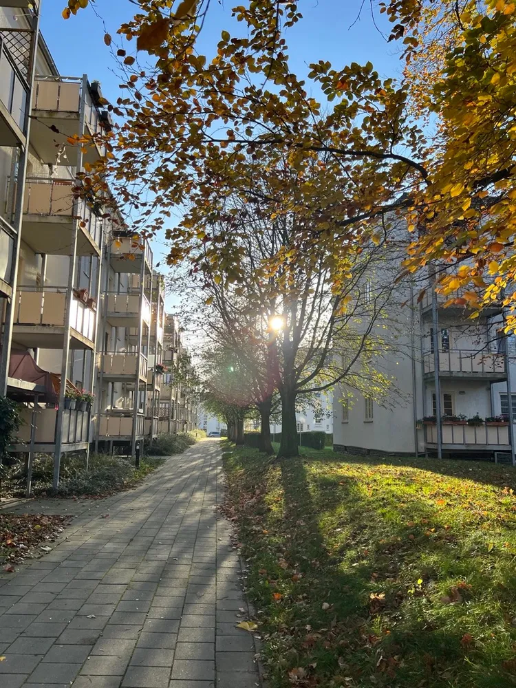 3 room apartment with 60 m² in Chemnitz – Photo 2
