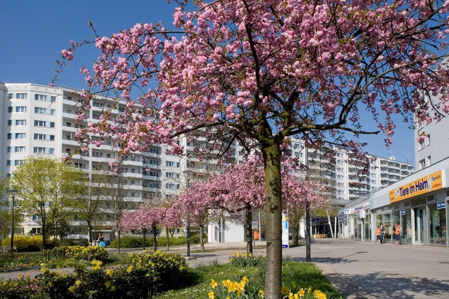 3 room apartment with 69 m² in Berlin – Photo 2