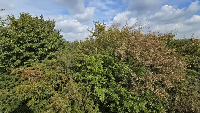 2 Zimmer Wohnung mit 92 m² in Mülheim an der Ruhr – Bild 7