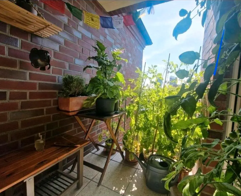 3 Zimmer Wohnung mit 70 m² in Hamburg – Bild 5