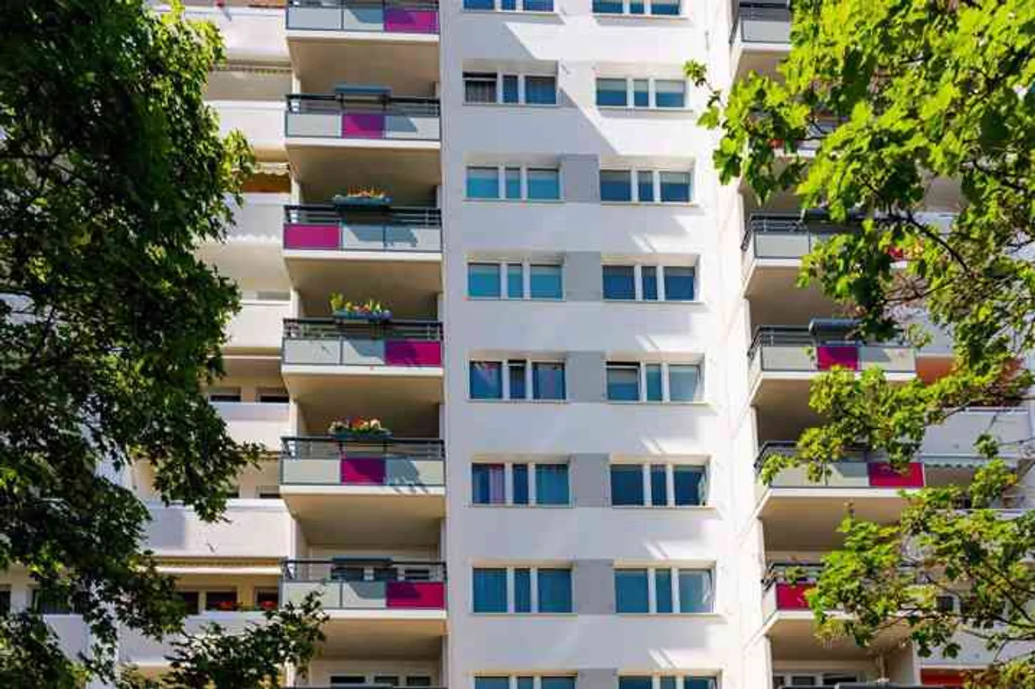 3 Zimmer Wohnung mit 80 m² in Dresden – Bild 1