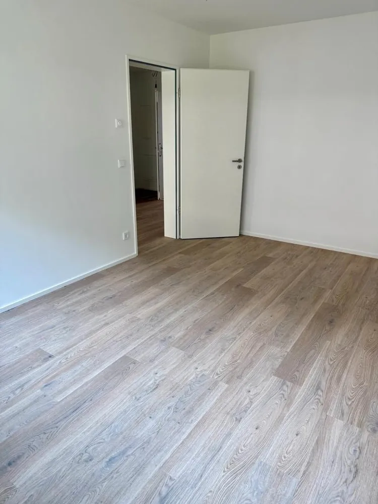 2 room apartment with 52 m² in Dresden – Photo 5