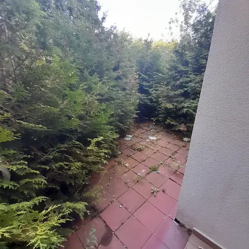 2 Zimmer Wohnung mit 61 m² in Halle (Saale) – Bild 4