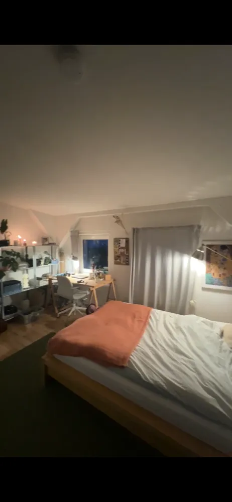 1 Zimmer Wohnung mit 22 m² in Rostock – Bild 1