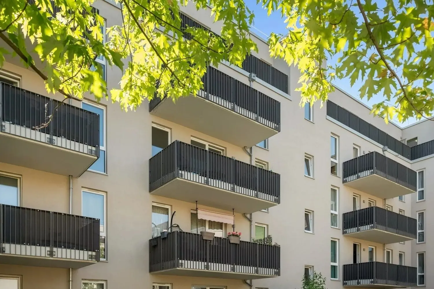 4 room apartment with 117 m² in Berlin – Photo 4