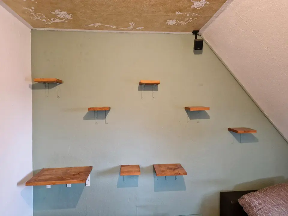 2 Zimmer Wohnung mit 45 m² in Kassel – Bild 1