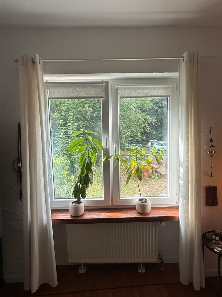 WG-Zimmer mit 20 m² in Bergisch Gladbach – Bild 5