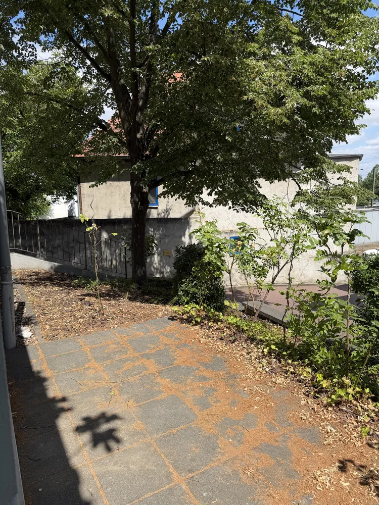 3 Zimmer Wohnung mit 76 m² in Mainz – Bild 11