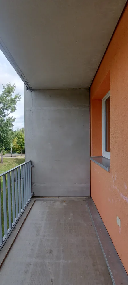 3 room apartment with 68 m² in Dresden – Photo 7